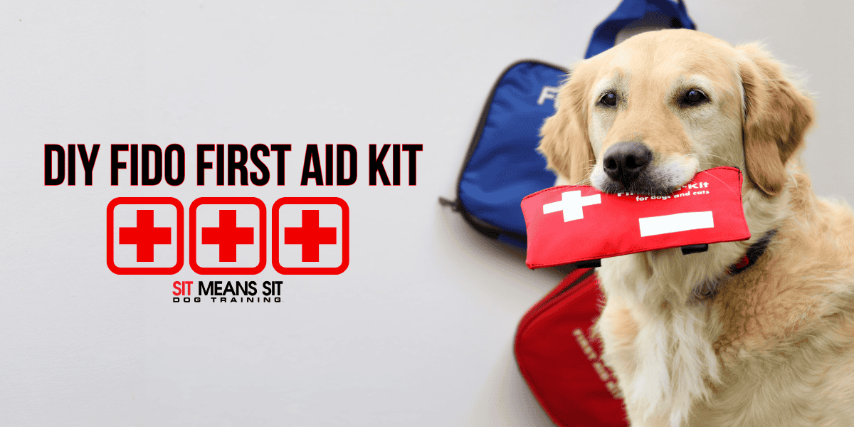 Building Your Own Canine First Aid Kit