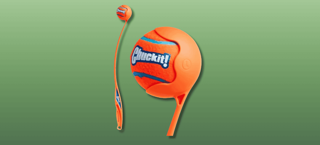 The Best Dog Toys for Chasing