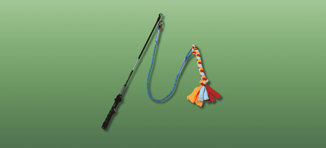 The Best Dog Toys for Chasing