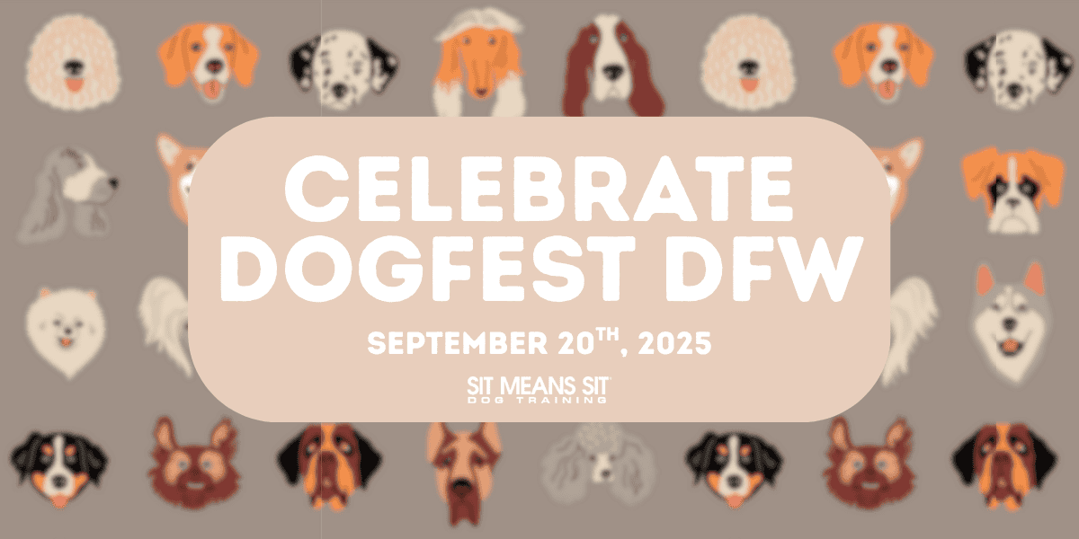 Everything You Need to Know About DogFest DFW