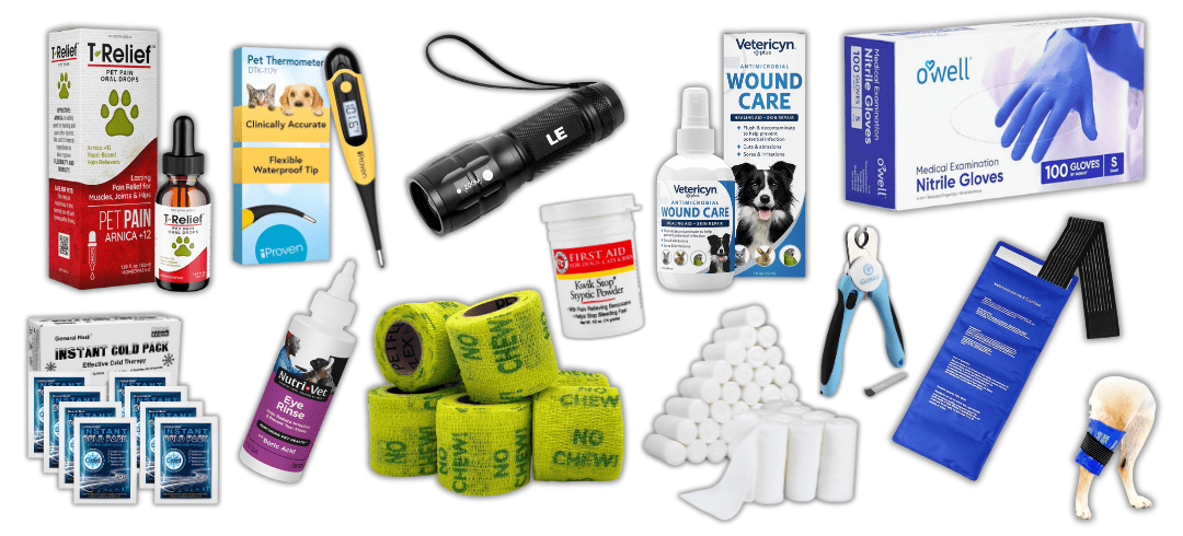 Building Your Own Canine First Aid Kit