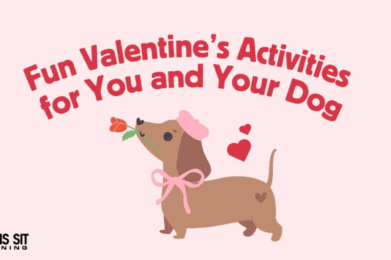 Fun Valentine’s Activities for You and Your Dog