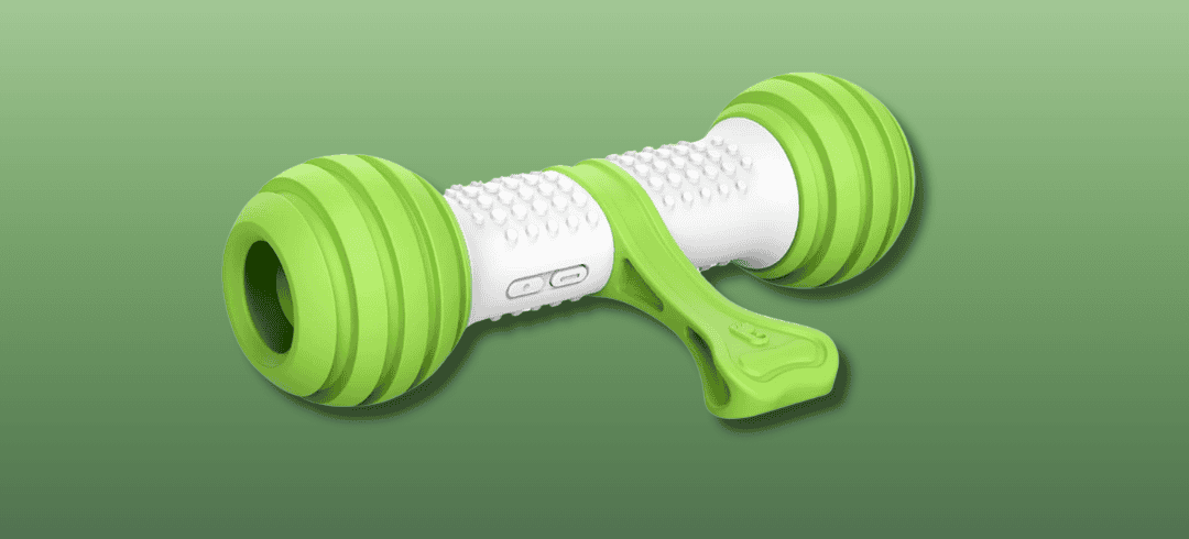 The Best Dog Toys for Chasing