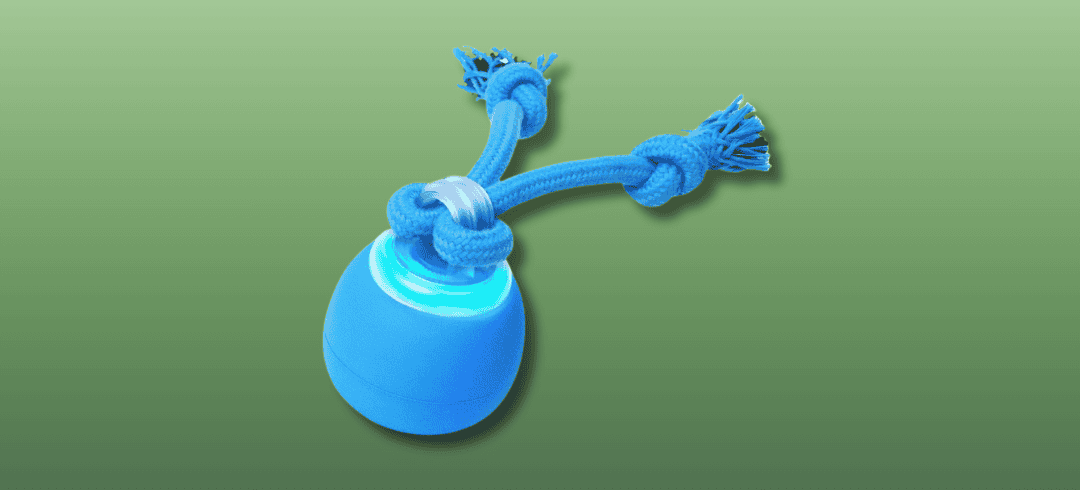 The Best Dog Toys for Chasing
