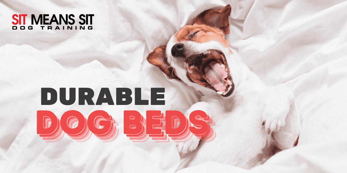 The Most Durable Dog Beds