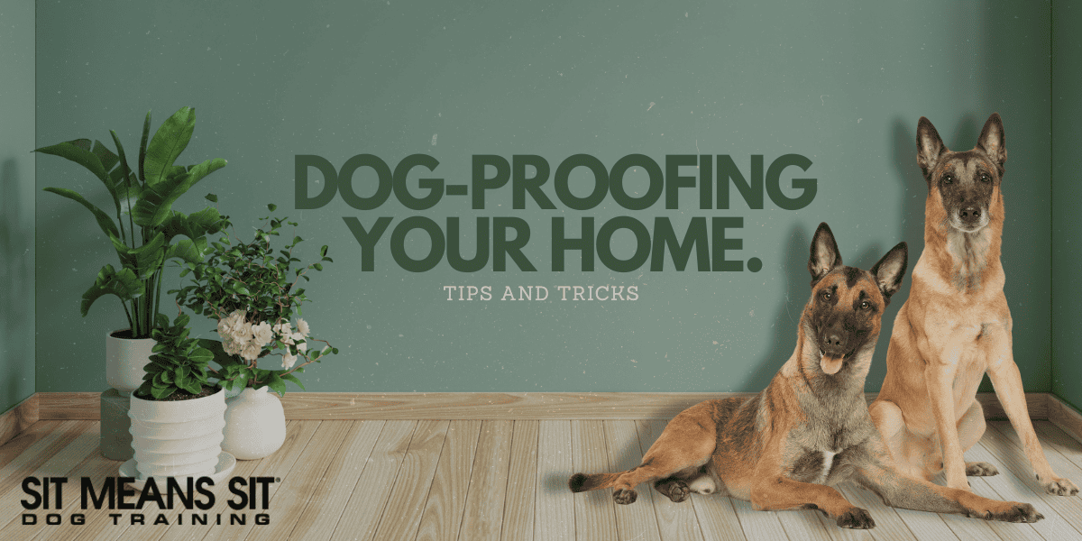 Tips for Dog-Proofing Your Home